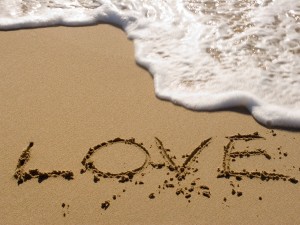 wallpaper-4241211